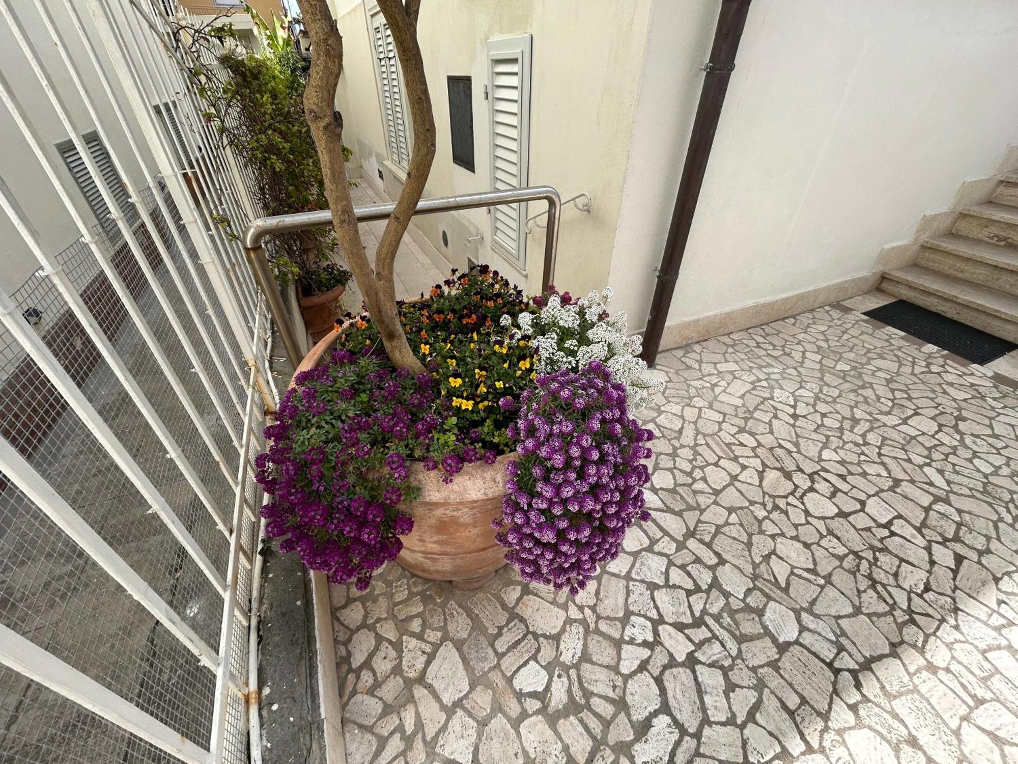 La Casa Di Rosi Al Mare Apartment Vada Exterior foto